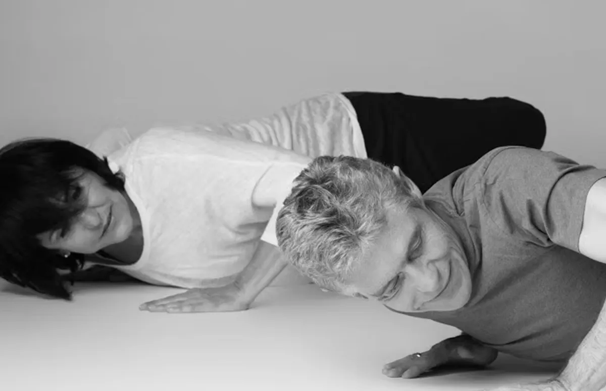 Feldenkrais education 